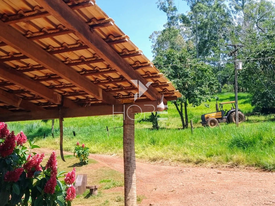 Fazenda à venda com 76 alqueires - pecuária com potencial agrícola - Guaravera - Londrina PR