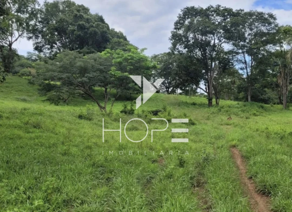 Imagens do imóveis Fazenda Dupla Aptidão - 112 Alqueires - Água Fria de Goiás GO - 542 Hectares - Boa de Água  - Eucalipto e Acácia