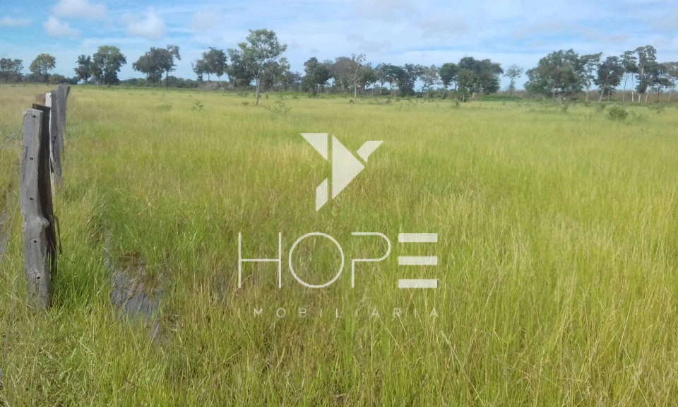 Fazenda à Venda no Mato Grosso – 793 Alqueires | Pecuária Estruturada | Porteira Fechada