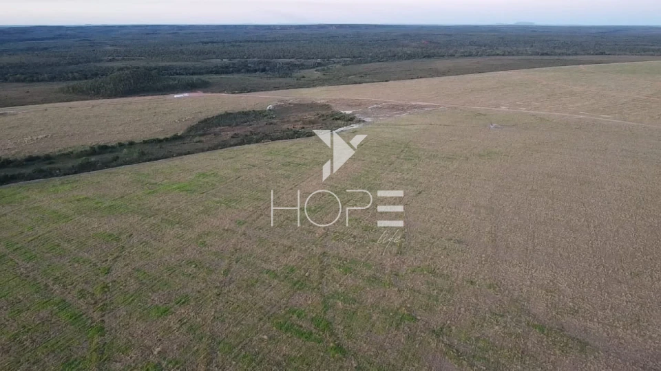 Imagens do imóveis Fazenda à venda 397 alqueires dupla aptidão com lavoura em formação – Tocantins – região de Palmas