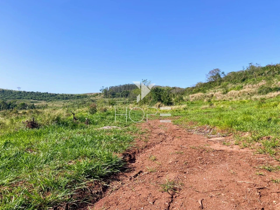 Imagens do imóveis Fazenda à venda com 31.5 alqueires - Estrutura Completa para Lavoura e Gado - Apucarana PR