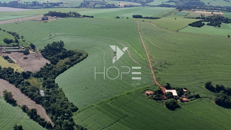 Sítio à venda com 35 alqueires - 847.000m² - próximo à Venda dos Pretos - Cambé PR