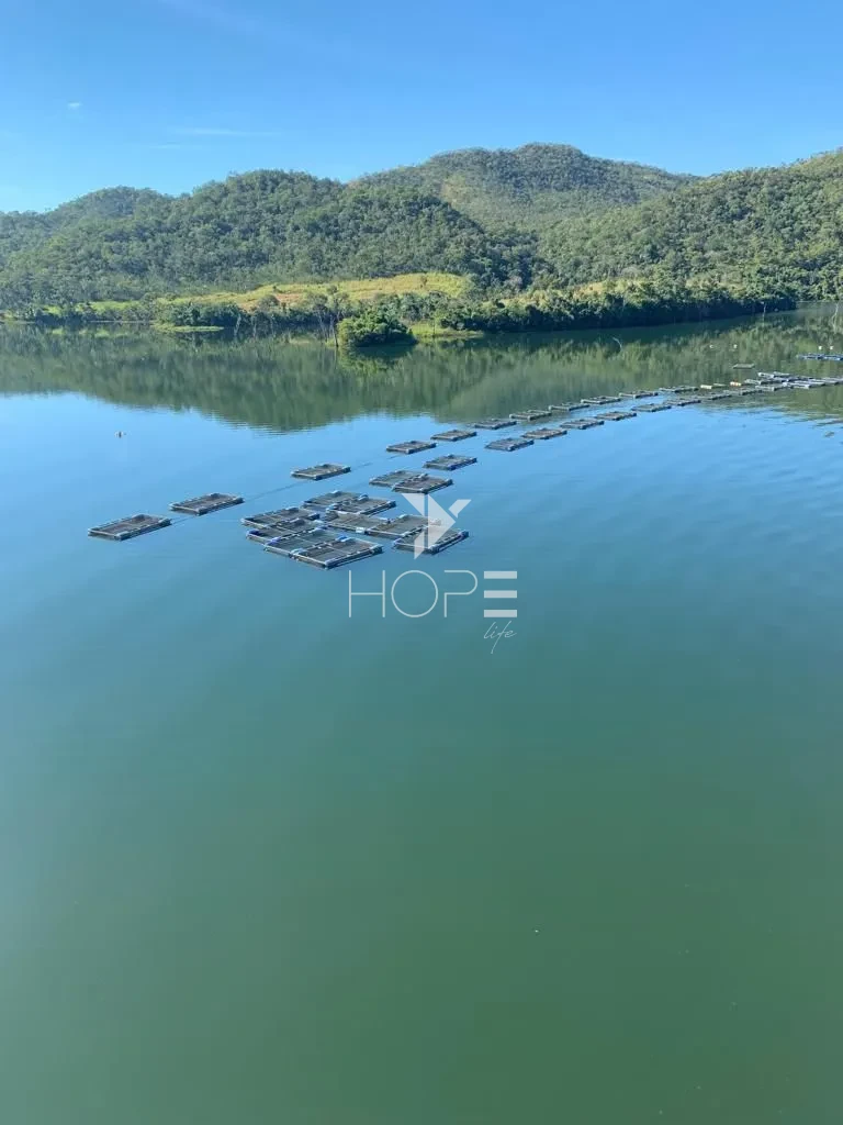 Imagens do imóveis Fazenda à venda com 612 alqueires - 350 em pasto - beira do Lago Canabrava - dupla aptidão - região de Minaçu GO