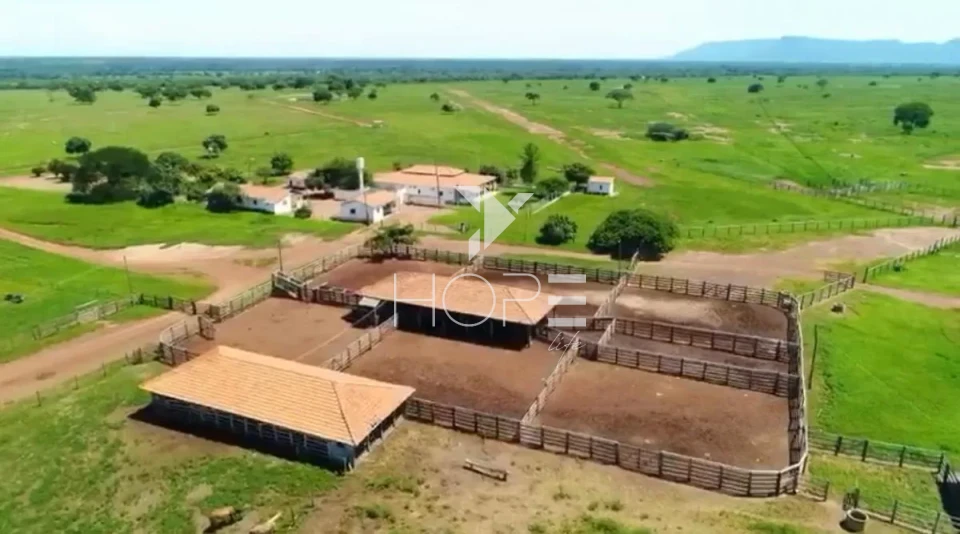 Imagens do imóveis Fazenda de dupla aptidão à venda com 1.765 alqueires - 8.543 hectares - porteira fechada - Alvorada do Norte GO