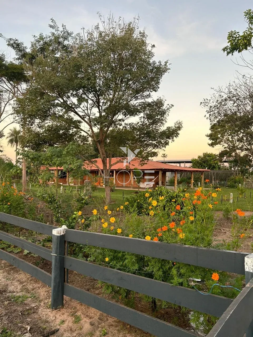 Imagens do imóveis Fazenda à venda com 57 alqueires - dupla aptidão - rio nos fundos - Batayporã MS