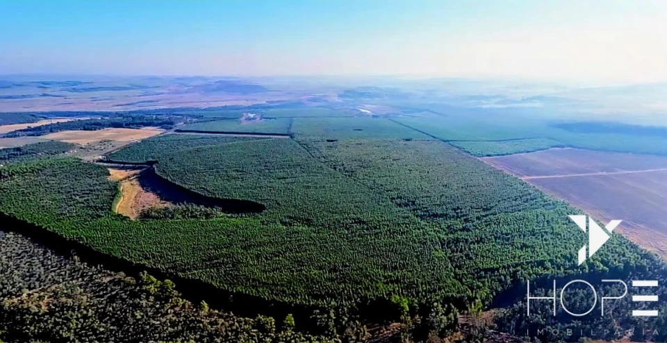 Fazenda com Eucalipto à Venda em Itu/SP – Renda Garantida com Arrendamento à Suzano