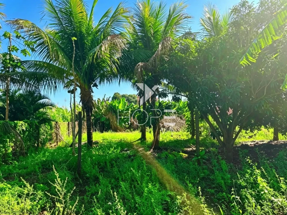 Imagens do imóveis Chácara molhada à venda - 3 quartos - 2 suítes - acesso à água - Alvorada do Sul PR