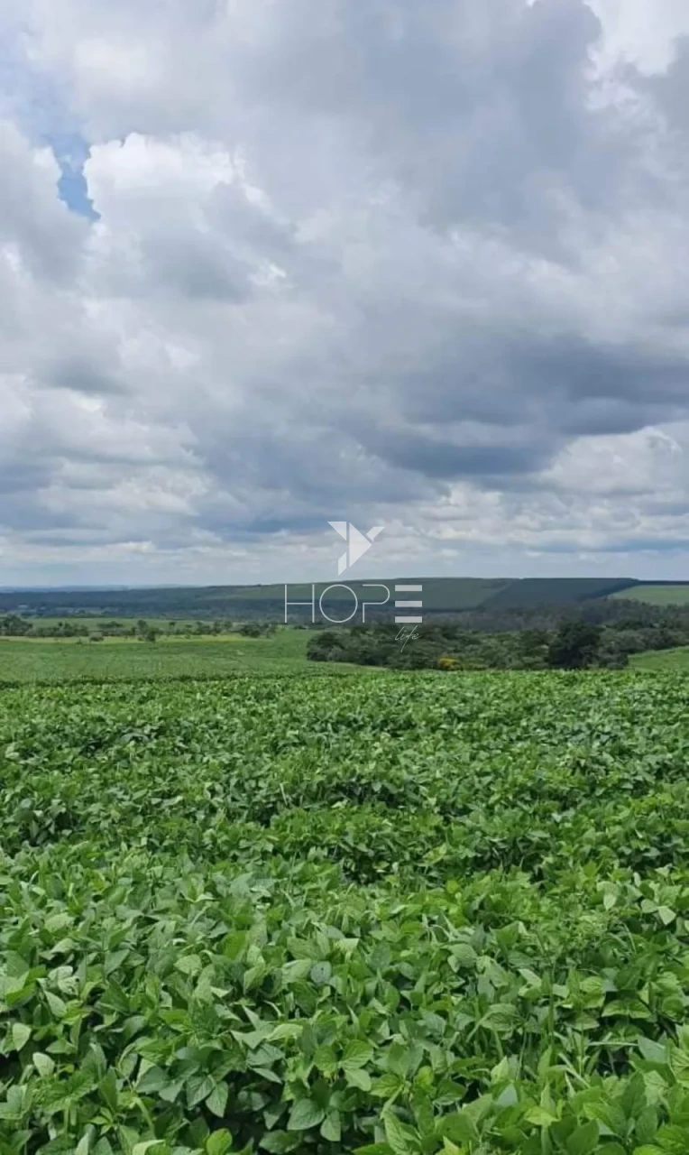 Imagens do imóveis Fazenda à Venda - Solo Misto – 174,24 Hectares – Bauru/SP