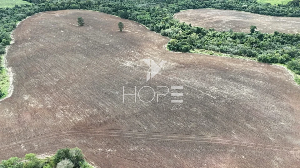Imagens do imóveis Sítio à Venda de Frente para Rodovia – 87,12 Hectares – Itapetininga/SP