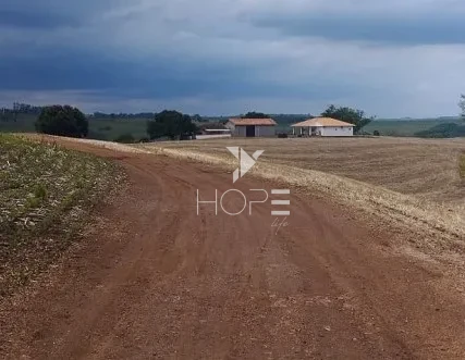 Imagens do imóveis Fazenda à Venda de Terra Roxa – 92 Alqueires – São Pedro do Ivaí/PR