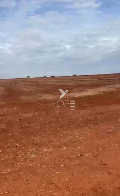 Imagens do imóveis Fazenda à Venda 100% de Plantio – 50 Alqueires – Região de Anhumas/SP