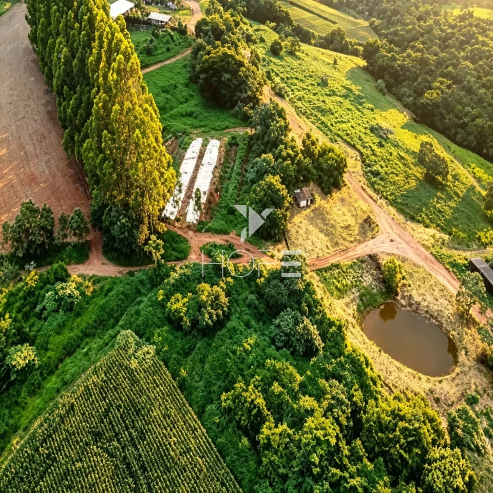 Imagens do imóveis Fazenda à Venda em Região Turistica – 282,50 Hectares – São João Del Rei/MG