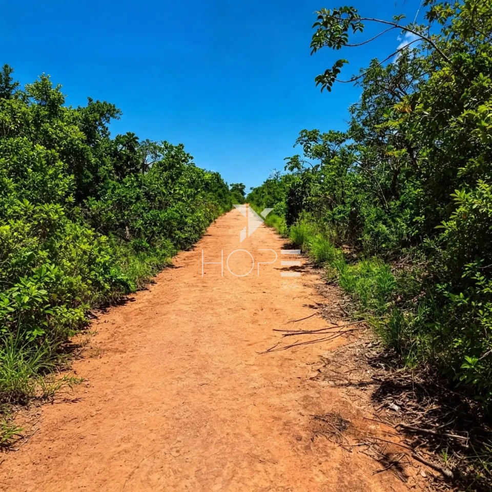 Imagens do imóveis Fazenda à Venda - Setor Agrobusiness – 146 Hectares – Grão Mogol/MG
