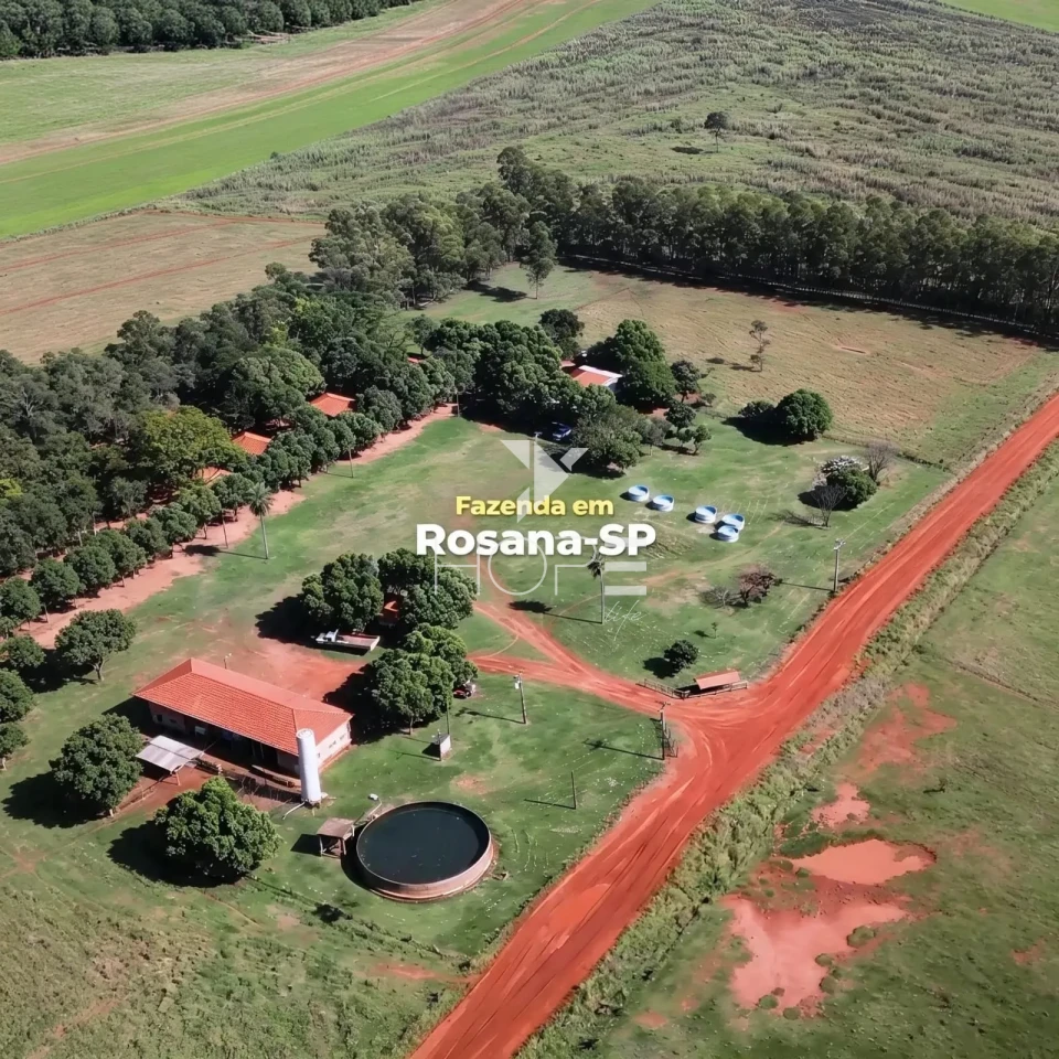 Imagens do imóveis Fazenda à Venda com Aptidão Pecuária - Topografia Plana – 560 Alqueires – Rosana/SP - Fronteira SP - PR - MS