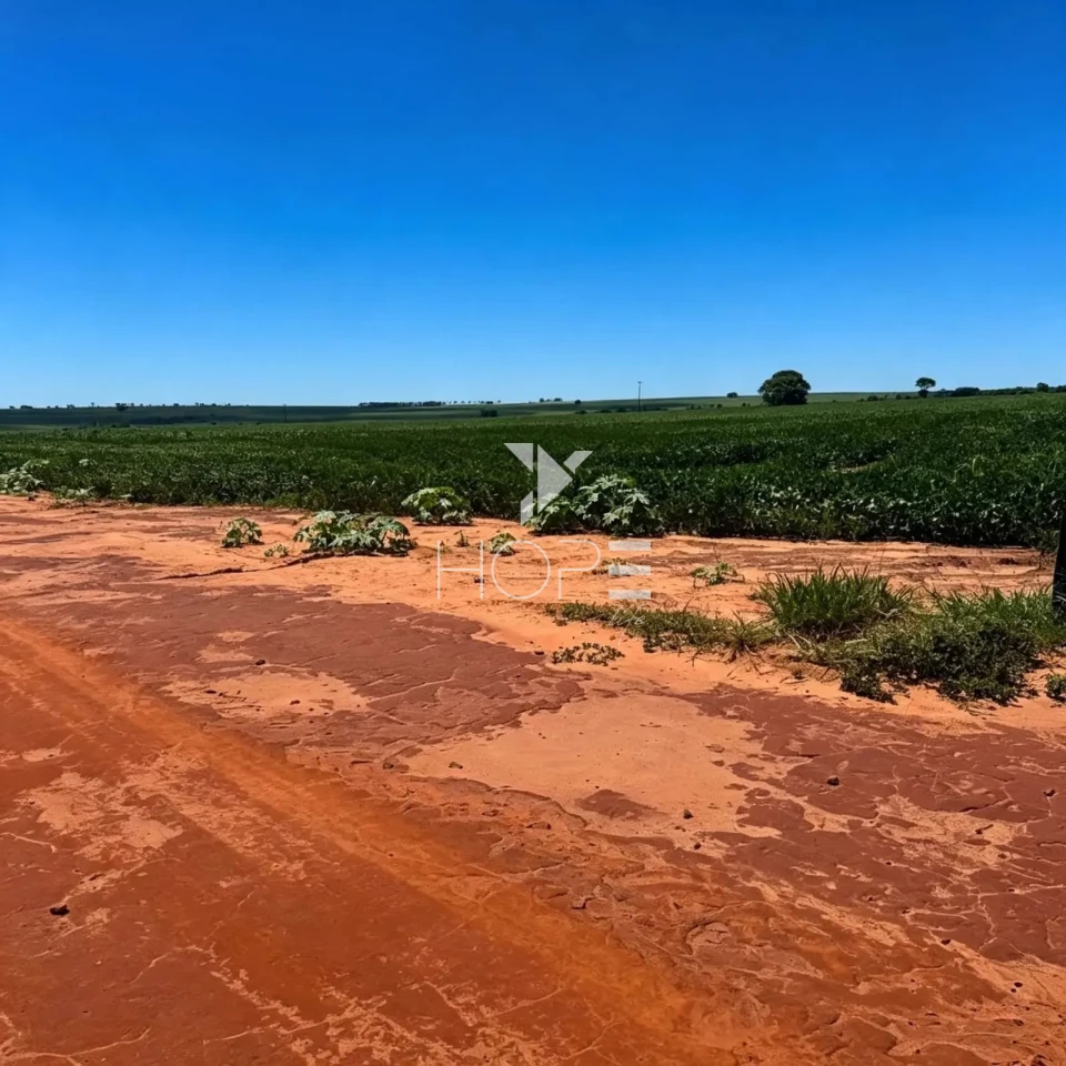 Imagens do imóveis Fazenda à Venda Produtiva de Grãos – 335 Alqueires – Navirái/MS
