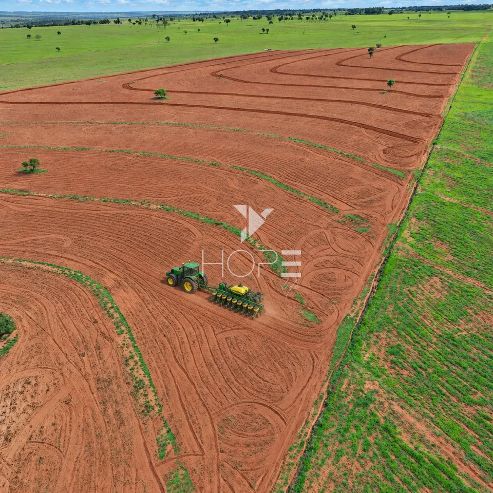 Imagens do imóveis Fazenda à Venda com Aptidão Pecuária – 235 Alqueires – Nova Andradina – Nova Andradina/MS