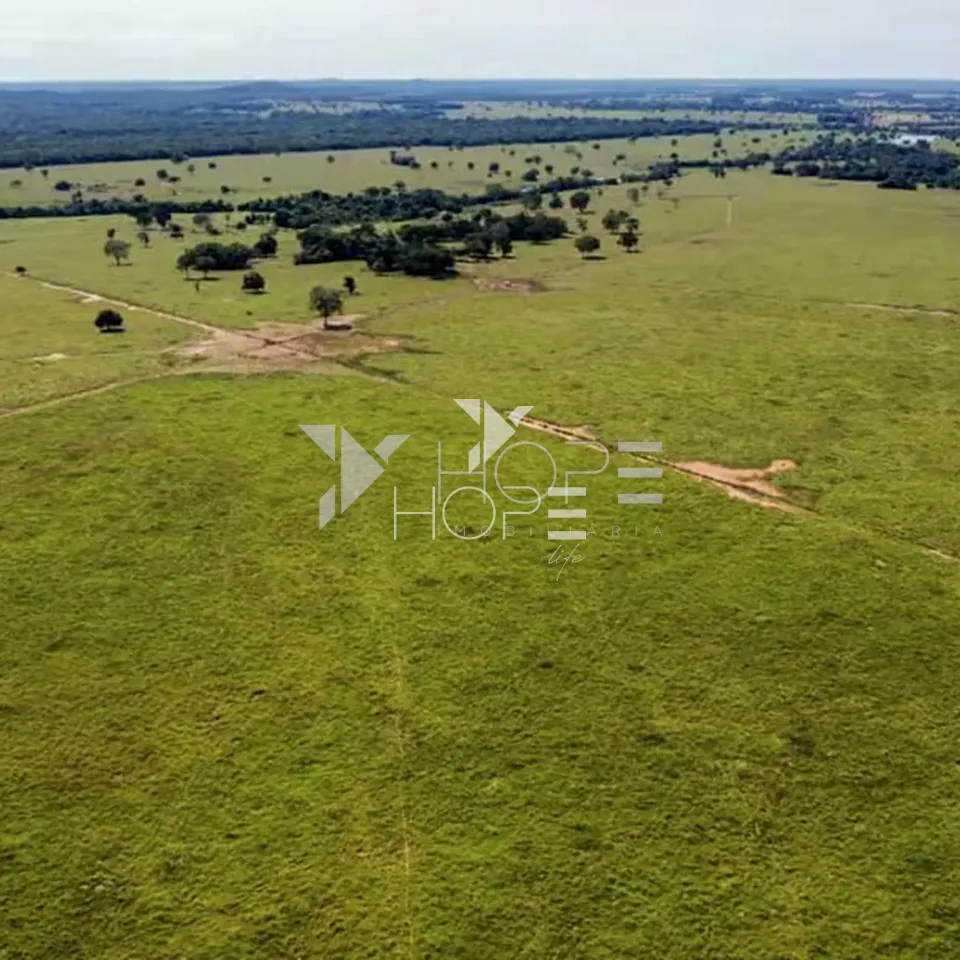 Imagens do imóveis Fazenda à Venda – Mundo Novo/GO