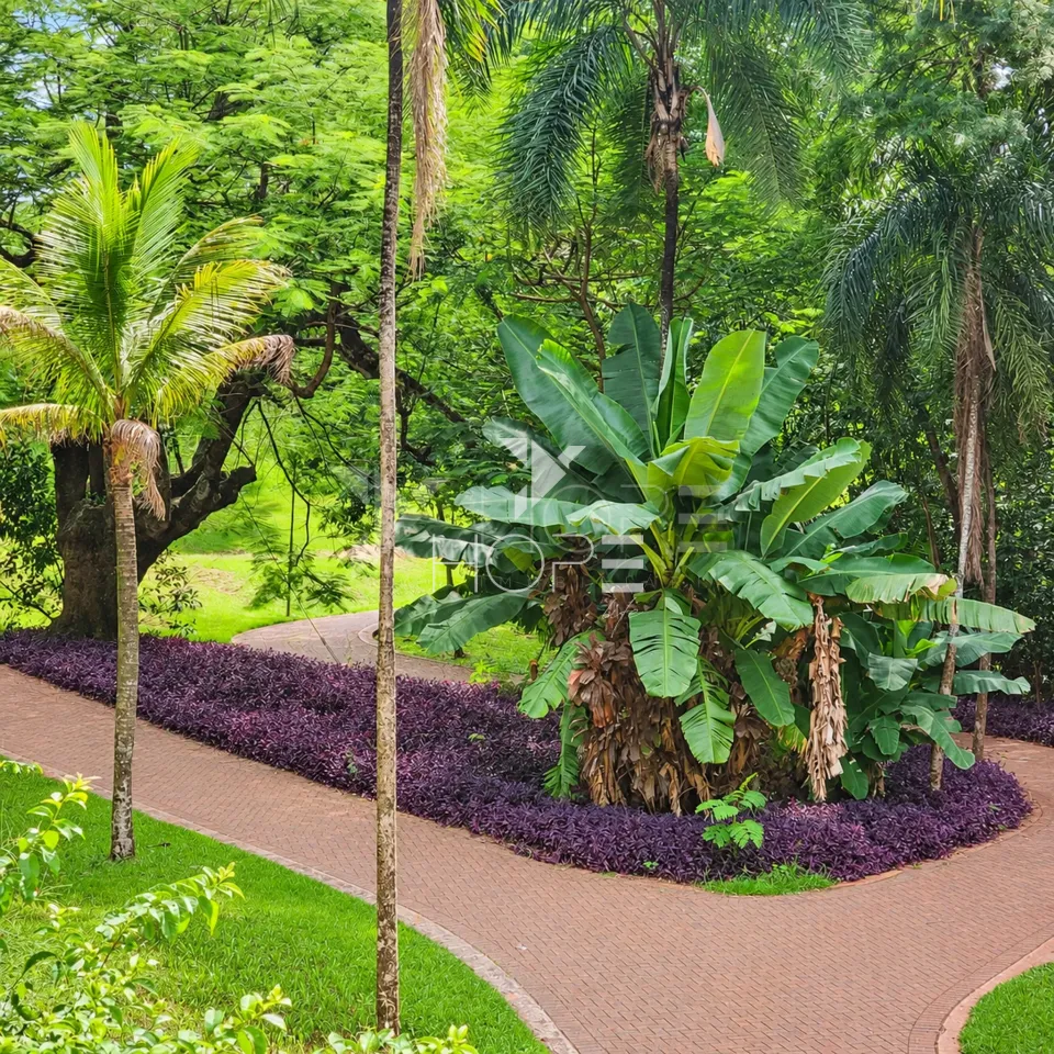 Imagens do imóveis Terreno em Condomínio à Venda - Maior Terreno do Condomínio – 3.127m² – Terras de Canaã