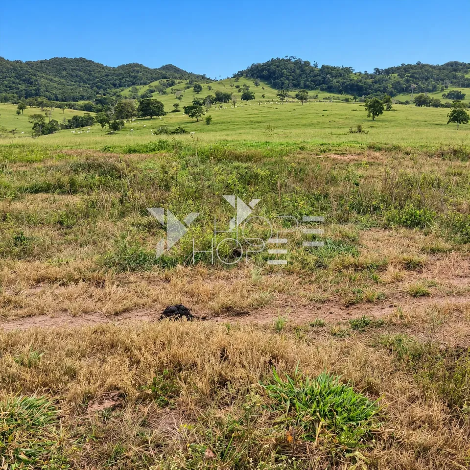 Imagens do imóveis Fazenda à Venda – Zona Rural – Rubiataba/GO