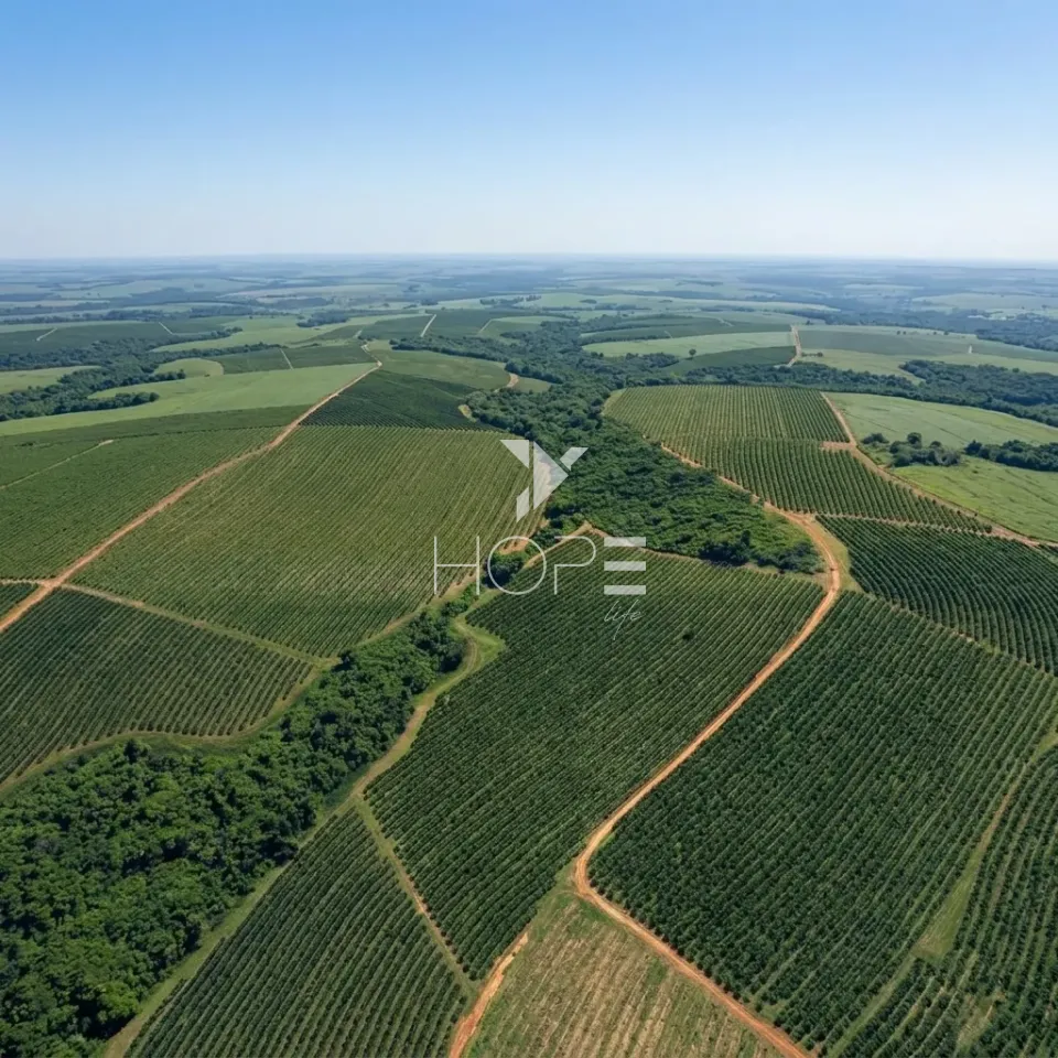 Imagens do imóveis Fazenda Cafeeira à Venda – 500 Hectares – Região de São Sebastião do Paraíso/MG