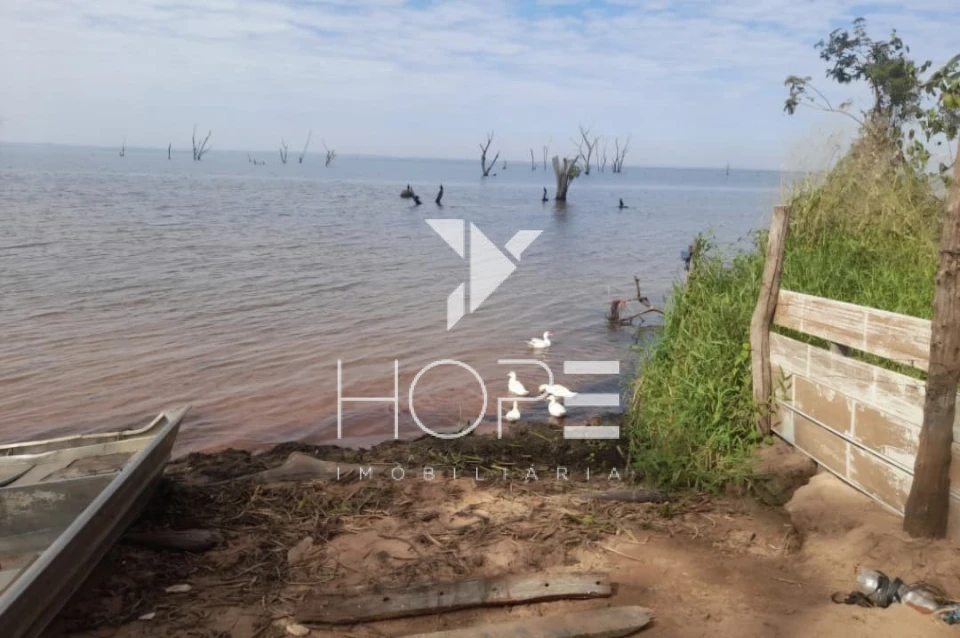 Imagens do imóveis fazenda à venda 622 alqueires dupla aptidão margem de rio – município de Bataguassu – Mato Grosso do Sul