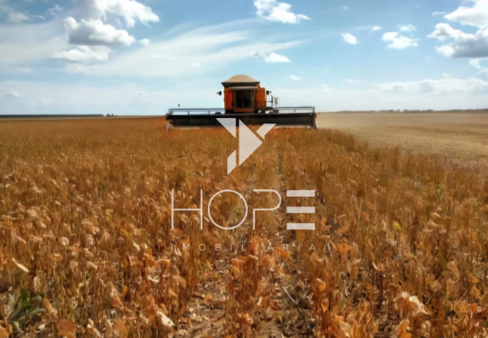 Imagens do imóveis Fazenda à venda 19.000 hectares agricultura mecanizada – município de Regeneração – Piauí