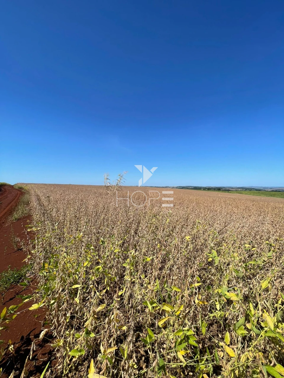 Imagens do imóveis Sítio à venda com 7.5 alqueires - Área para plantio - Jataizinho/PR