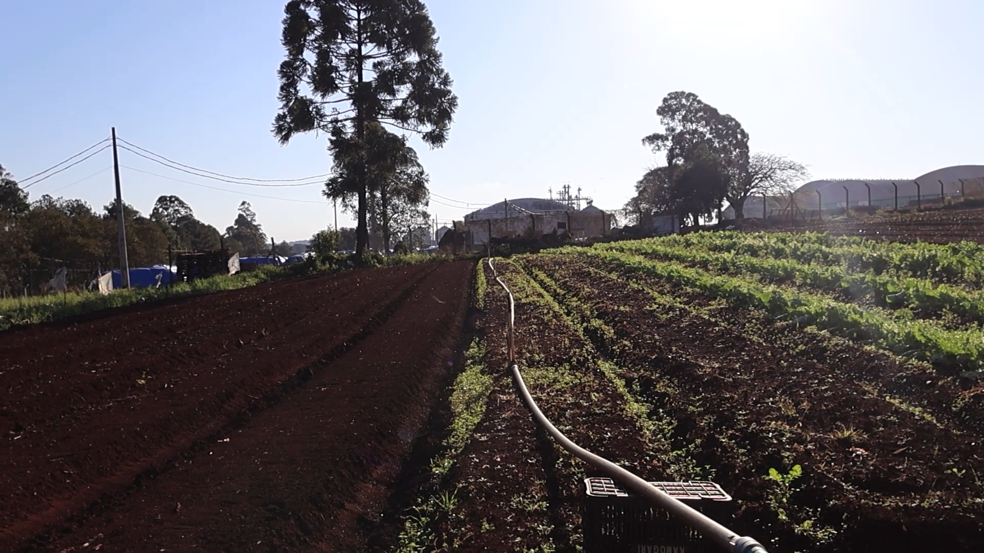 Imagens do imóveis TERRENO INDUSTRIAL DE 42.000 m² EM TAMARANA