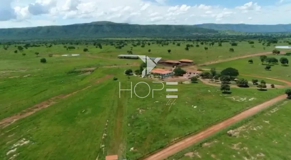 Imagens do imóveis Fazenda de dupla aptidão à venda com 1.765 alqueires - 8.543 hectares - porteira fechada - Alvorada do Norte GO