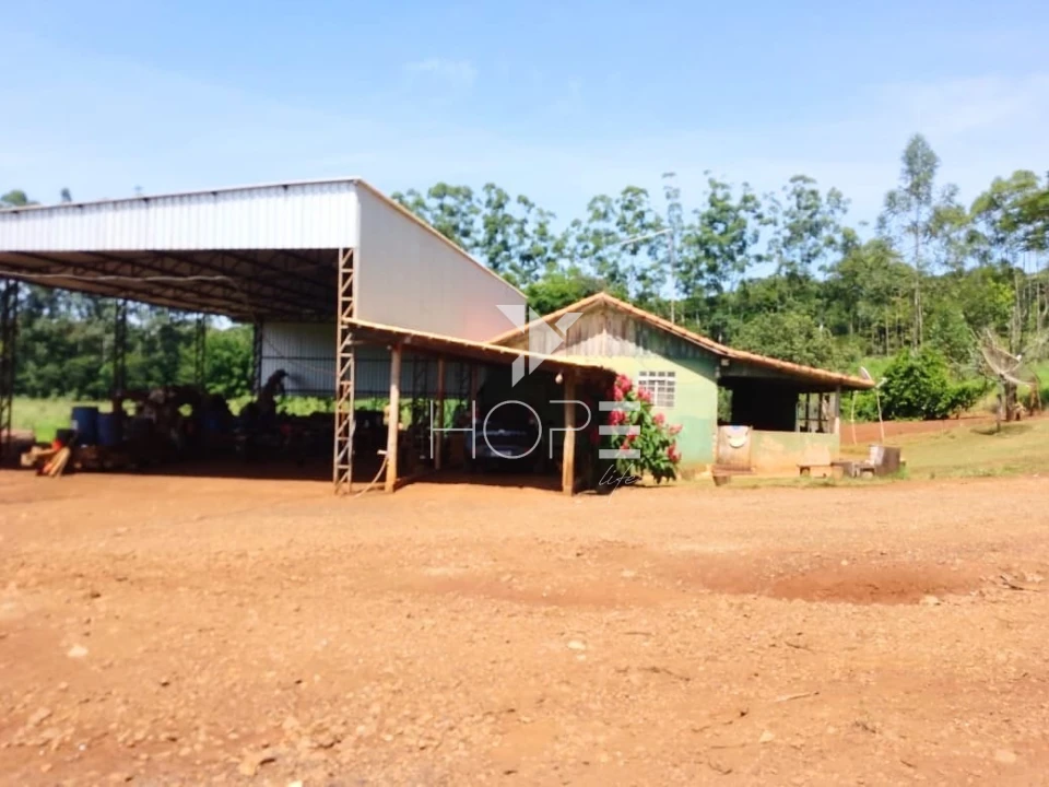 Fazenda à venda com 76 alqueires - pecuária com potencial agrícola - Guaravera - Londrina PR
