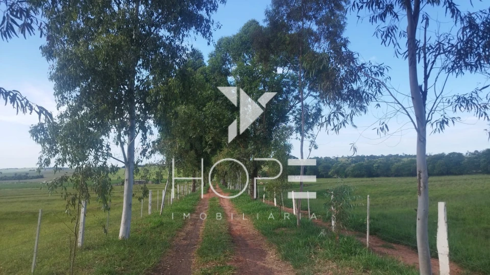 Imagens do imóveis Fazenda à venda 126 alqueires pecuária – região de Loanda – Paraná