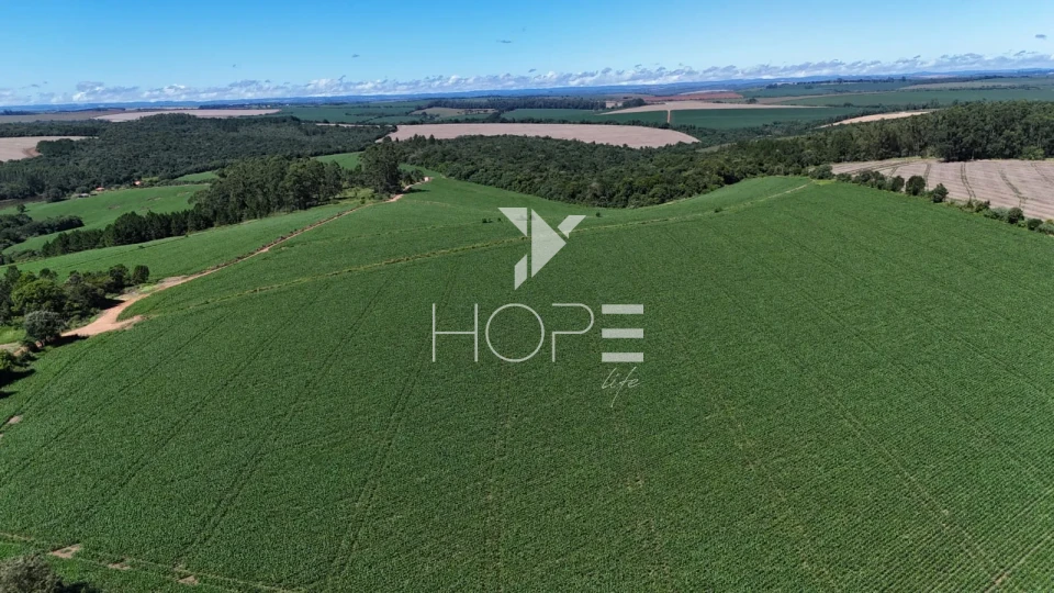 Imagens do imóveis Fazenda à venda com 75 alqueires (181.5 hectares) - agricultura e eucalipto - São Miguel Arcanjo SP
