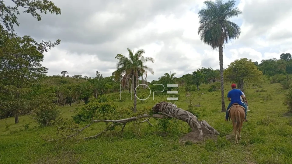Imagens do imóveis Fazenda à venda com 72 alqueires - 55 em pasto - pronta - curral completo - região de Morro Agudo - Faina GO