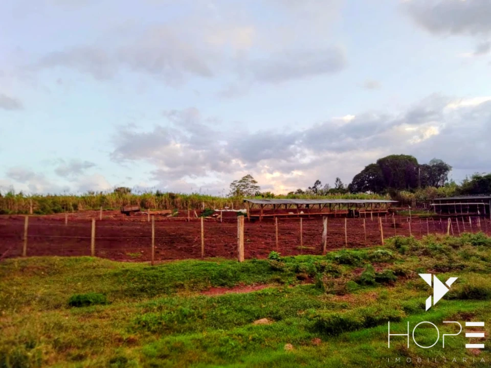 Imagens do imóveis Sítio à venda em Tamarana – Localização privilegiada na beira da estrada