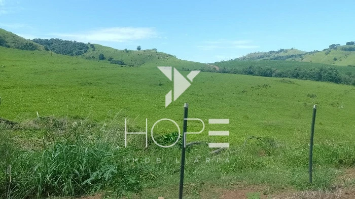 Imagens do imóveis Fazenda Porteira Fechada à Venda – 355 Alqueires – Nova Tebas/PR – Pecuária Montada (Nelore) – Estrutura Completa