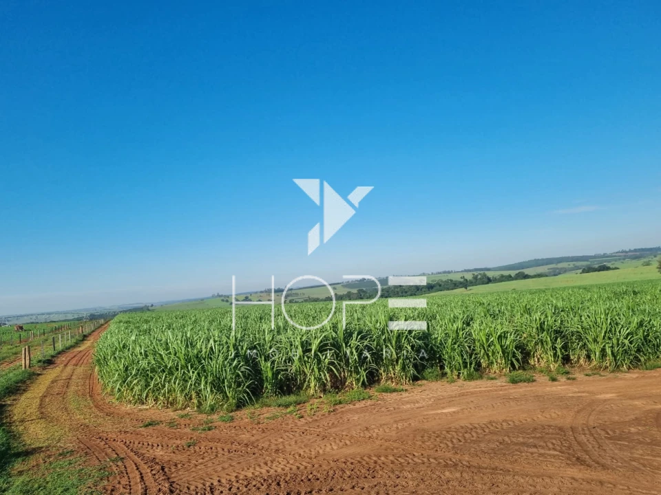 Imagens do imóveis Fazenda Leiteira Porteira Fechada à Venda – 78 Alqueires – Paranavaí/PR – Estrutura Completa + Usina Solar