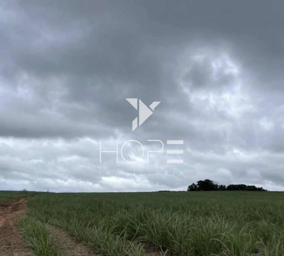 Imagens do imóveis Fazenda 207 Alqueires - Dupla Aptidão - Cana Arrendada - Mineiros GO - 7 km do Asfalto
