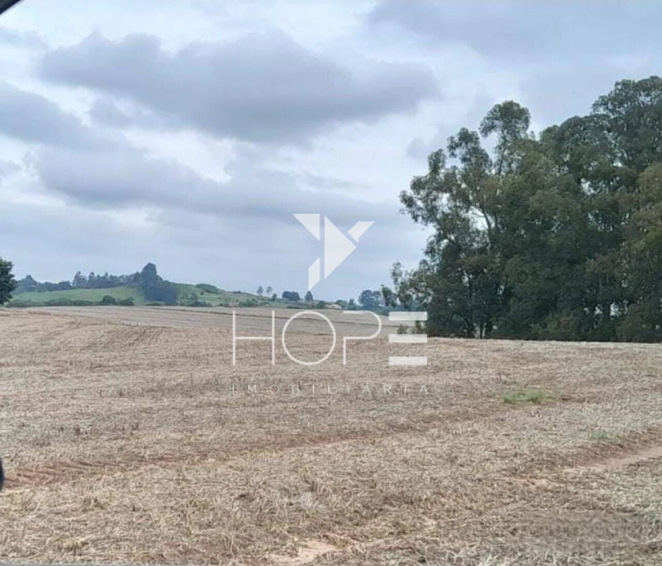 Fazenda Produtiva com 104 Alqueires Paulista à Venda – Botucatu SP