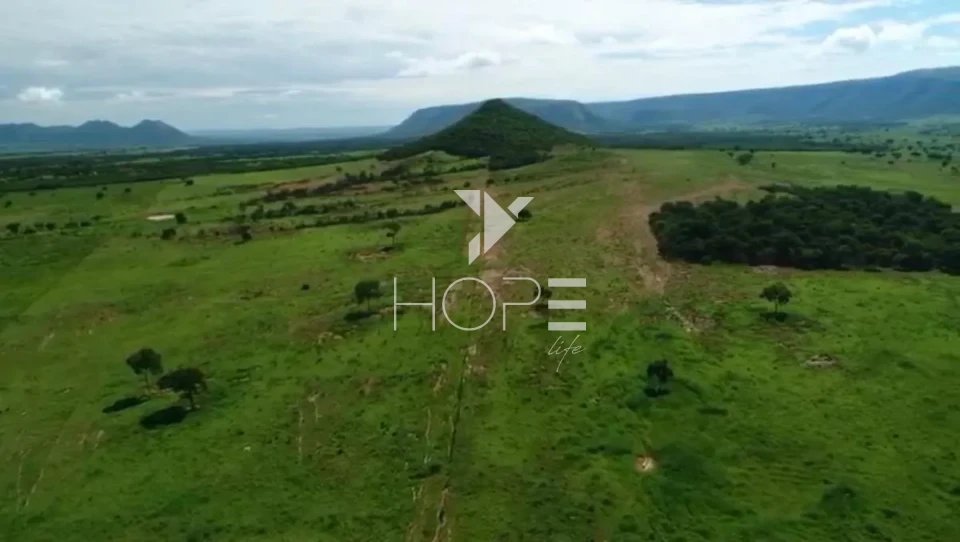 Imagens do imóveis Fazenda de dupla aptidão à venda com 1.765 alqueires - 8.543 hectares - porteira fechada - Alvorada do Norte GO