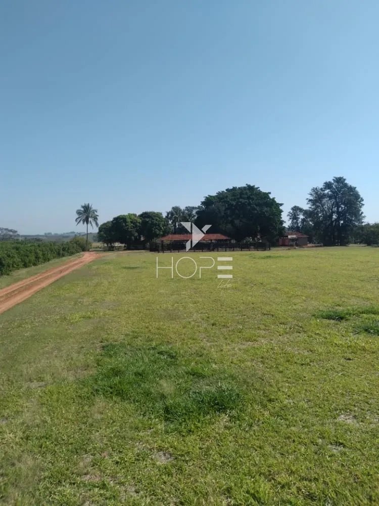 Imagens do imóveis Fazenda de laranja à venda com 77.5 alqueires - 77.150 pés - certificado para exportação - Região de Marília SP