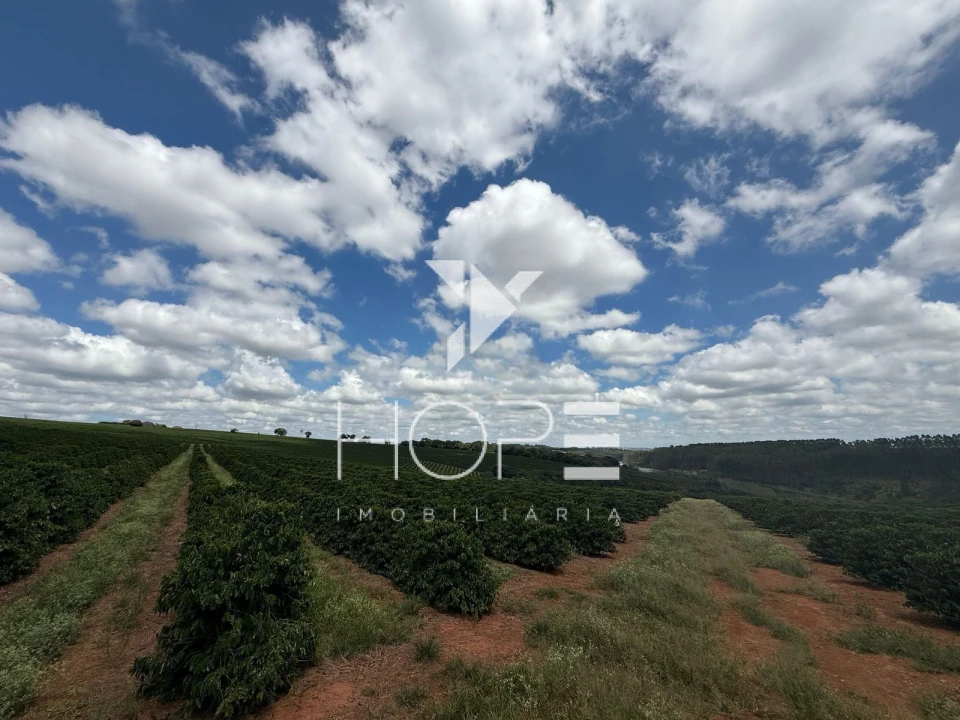 Imagens do imóveis fazenda cafeeira à venda 640 hectares irrigada – município de São Sebastião do Paraíso – Minas Gerais