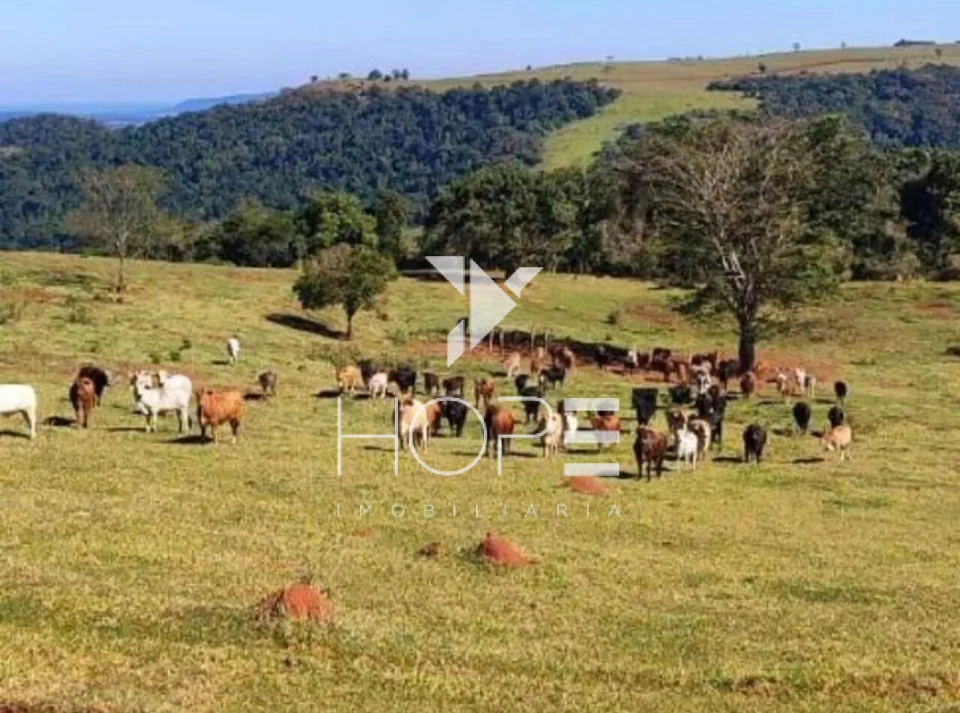 Fazenda à venda na região de Botucatu/SP – 119,5 alqueires – Rica em água
