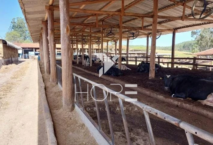 Imagens do imóveis Fazenda à venda 330 Alqueires – agricultura e pecuária estrutura completa – Vale do Paraíba – São Paulo
