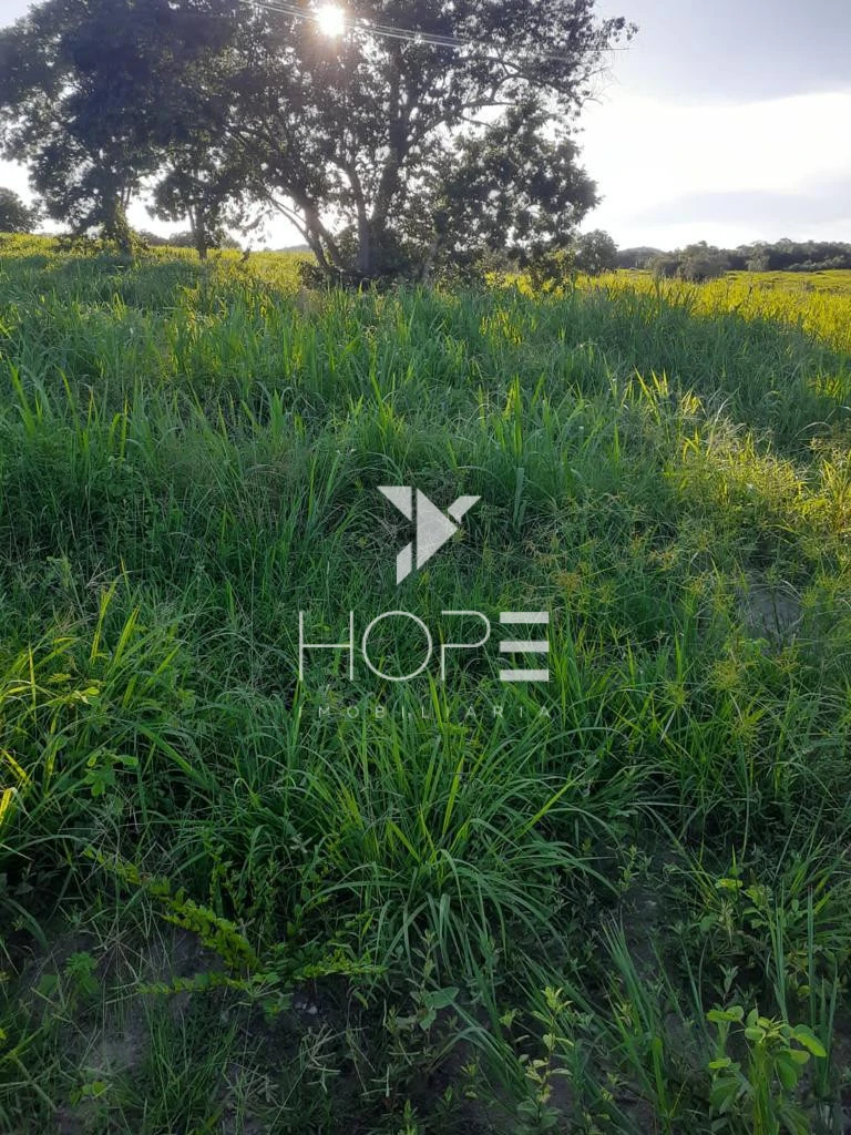 Fazenda à Venda – 1.033 Alqueires – Região de Peixe/TO – Dupla Aptidão