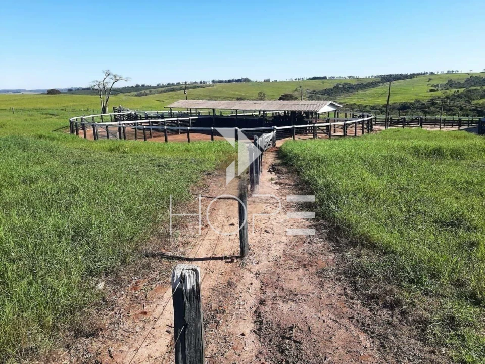 Imagens do imóveis Fazenda à venda 217 alqueires pecuária – Moreira Sales – Paraná