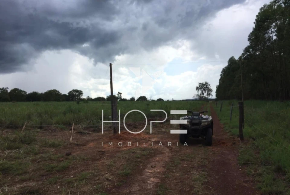 Imagens do imóveis Fazenda 326 Alqueires - Dupla Aptidão - Unaí MG - Entre Unaí e Paracatu - Margens de Rodovia