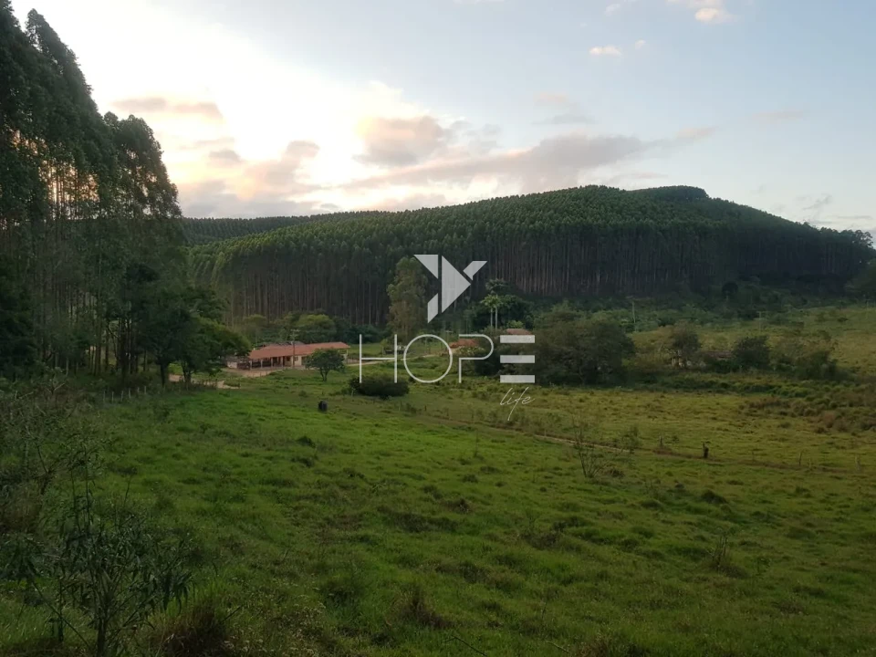 Imagens do imóveis Fazenda de eucalipto à venda com 124 alqueires - alto potencial florestal - Vale do Paraíba - Paraíbuna SP