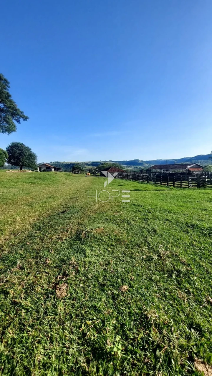 Imagens do imóveis Fazenda à venda com 204.5 alqueires - pecuária bovina - estrutura completa - região de Marília SP
