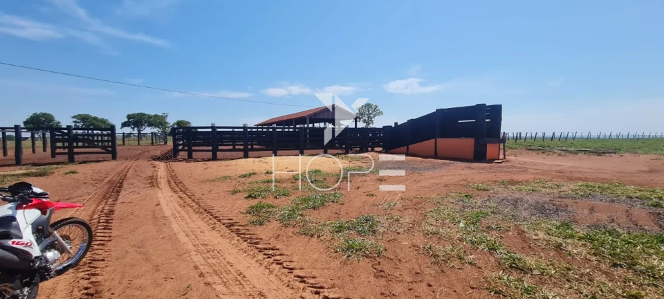 Imagens do imóveis Fazenda em dívida à venda com 322 alqueires - estrutura pecuária completa - Águas Claras MS