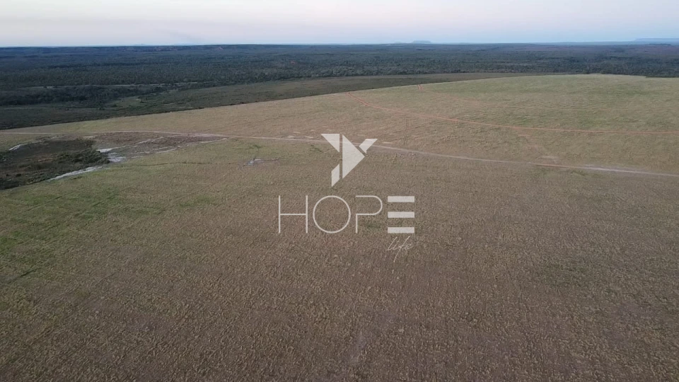 Imagens do imóveis Fazenda à venda 397 alqueires dupla aptidão com lavoura em formação – Tocantins – região de Palmas